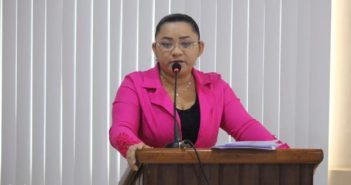 Andréa Alves apresenta requerimento de convite